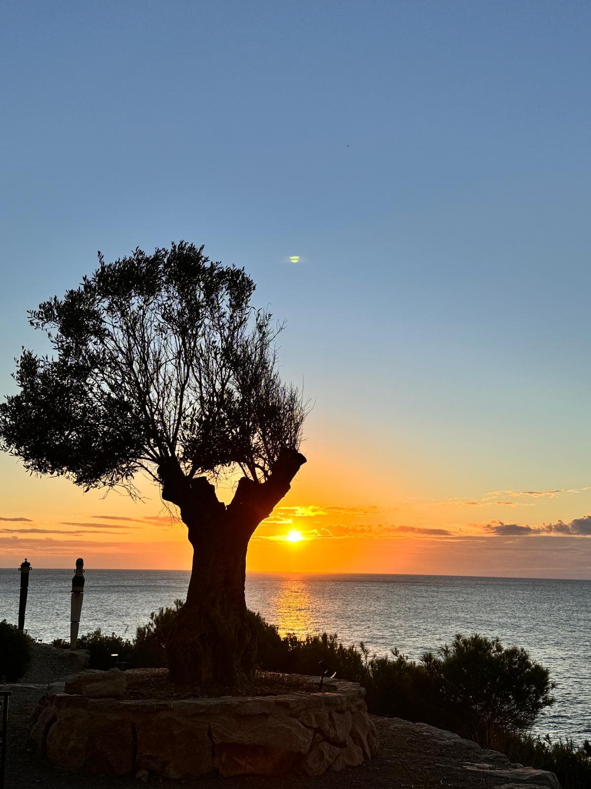 Audio Testimonial von Tina